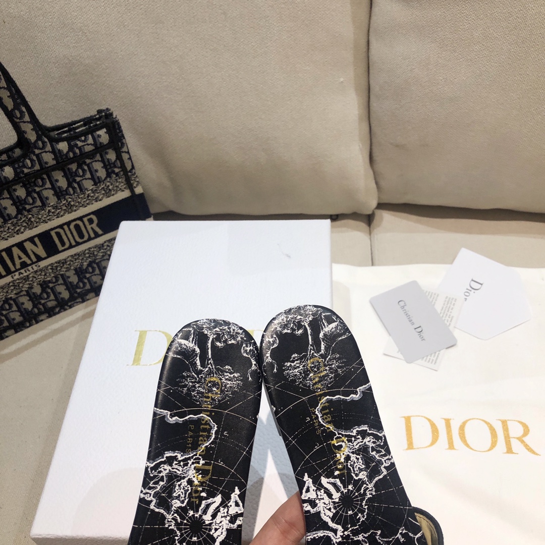 Dior shoes91