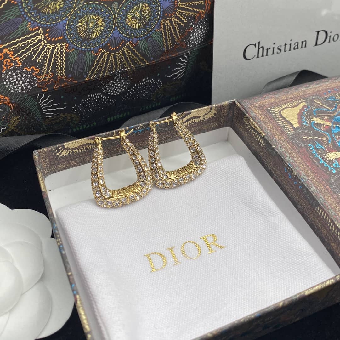 Dior Earrings First Copy