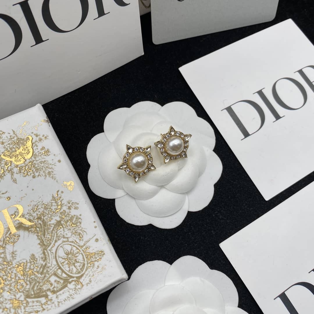 Fake Dior Logo Earrings