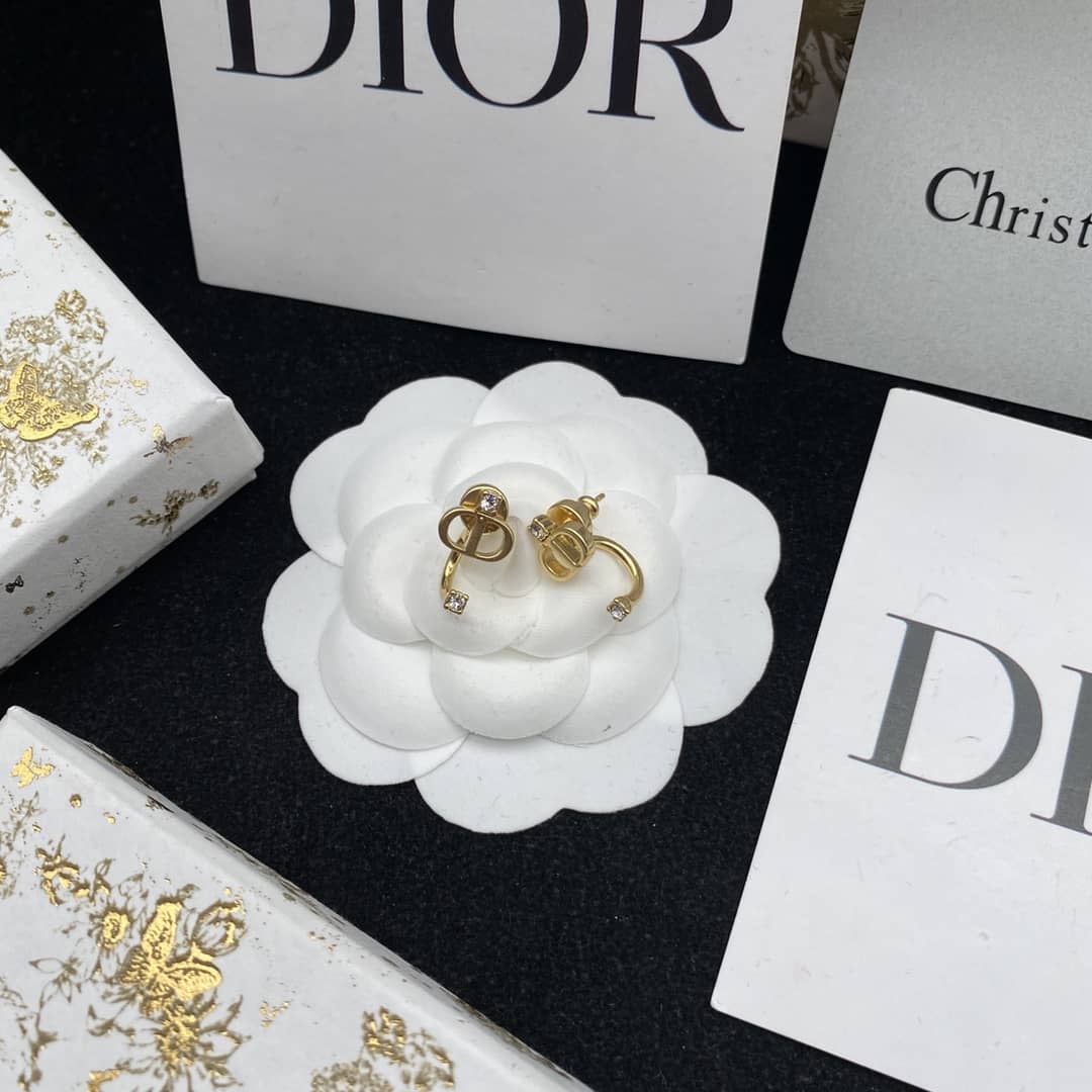 Luxury Dior Classic AAA+ Earrings