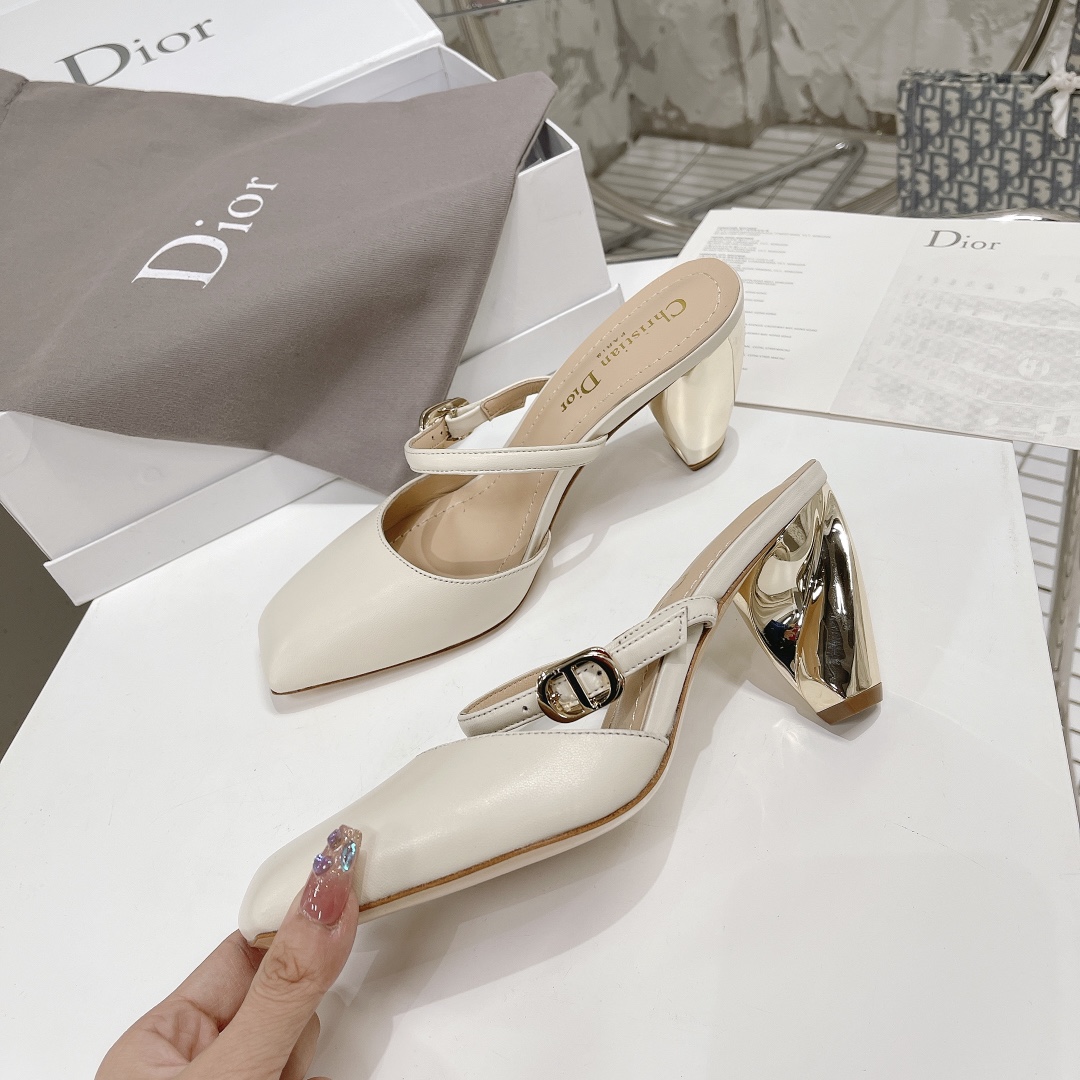 Dior shoes15