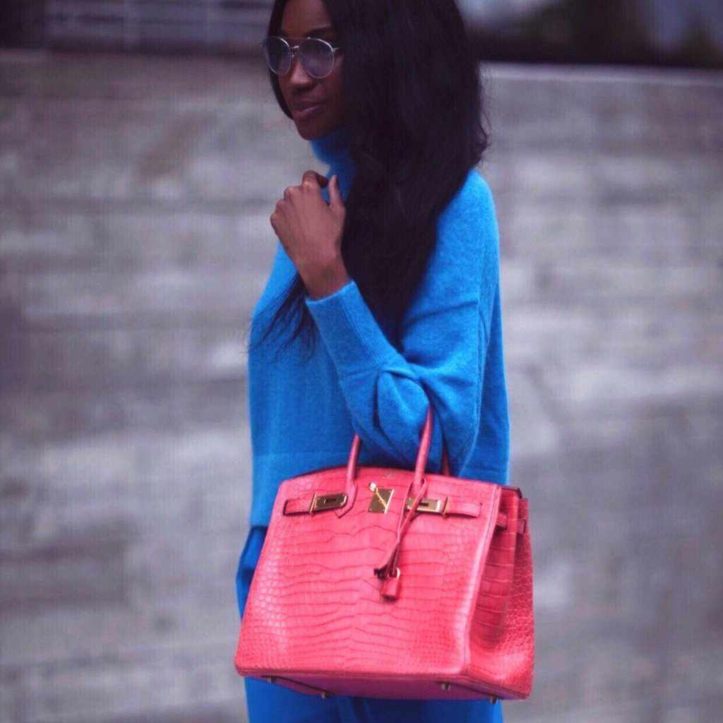 Hermès Birkin 35 Matte Bougenville Pink Crocodile Porosus Gold Hardware