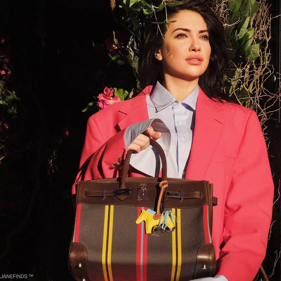 Hermès Birkin 35 Jumping Canvas and Ebene Box Leather with Palladium Hardware