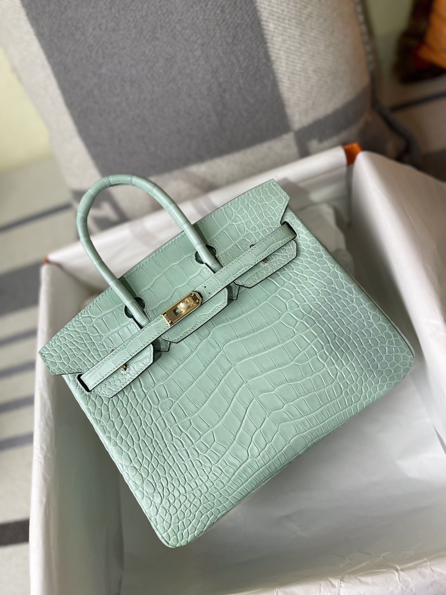 Birkin Alligator matt