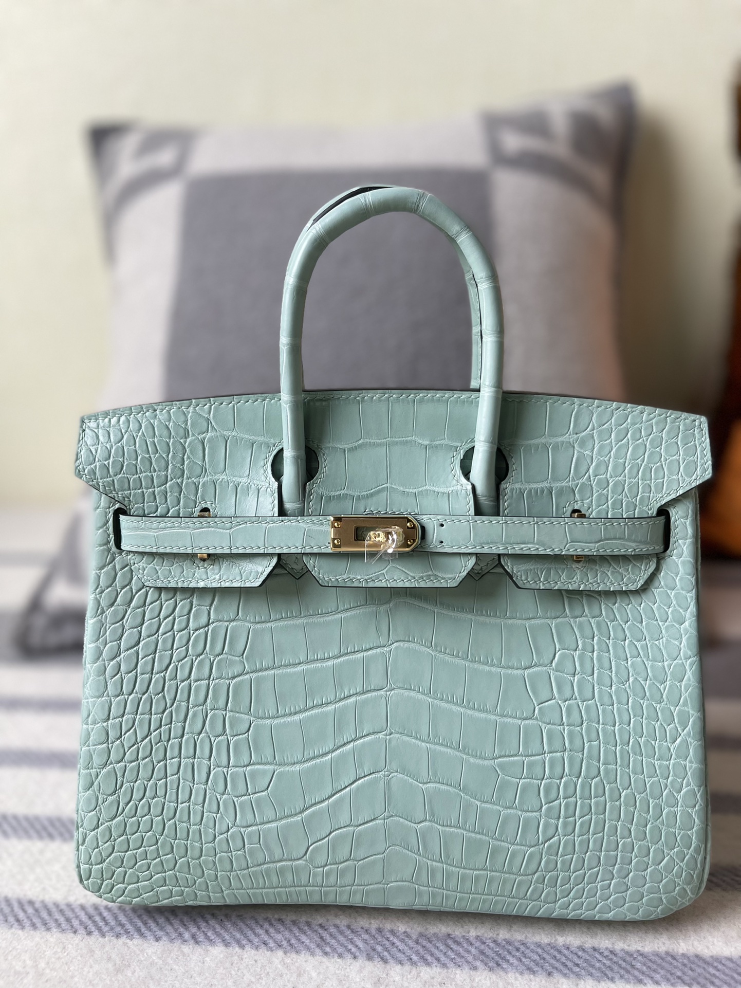 Birkin Alligator matt