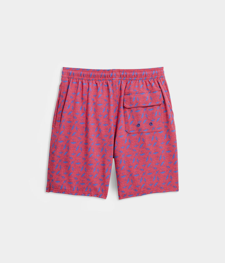 Boys' Printed Chappy Swim Trunks