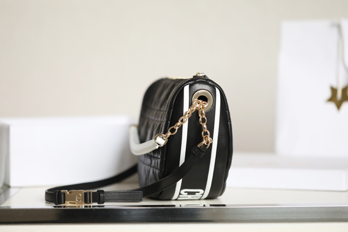 DIOR VIBE Medium Dumpling Bag