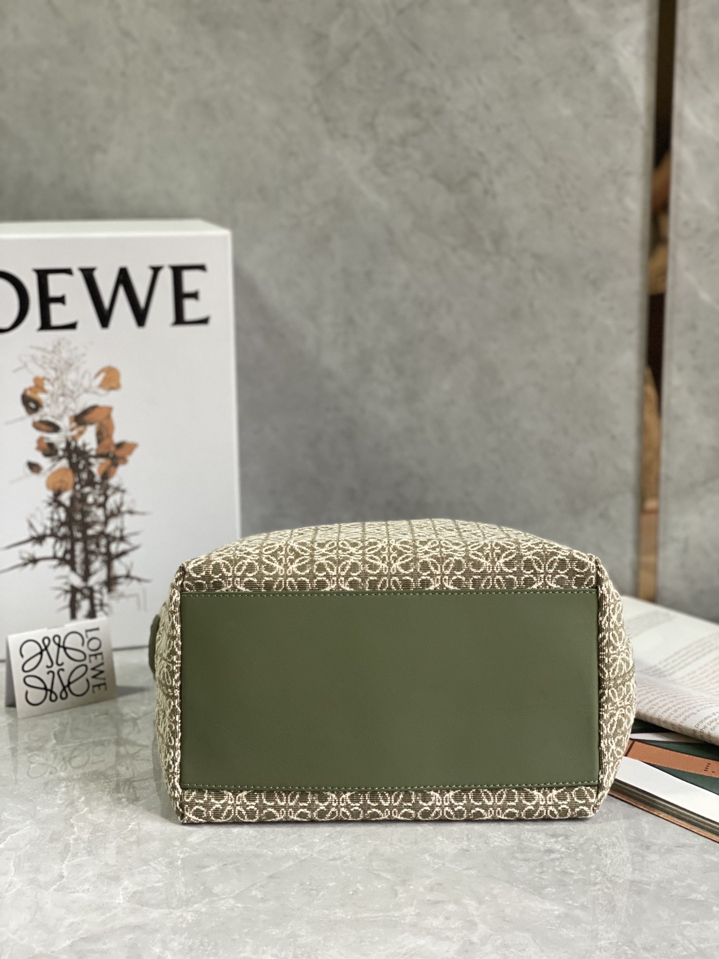 LOEWE cubi bento bag