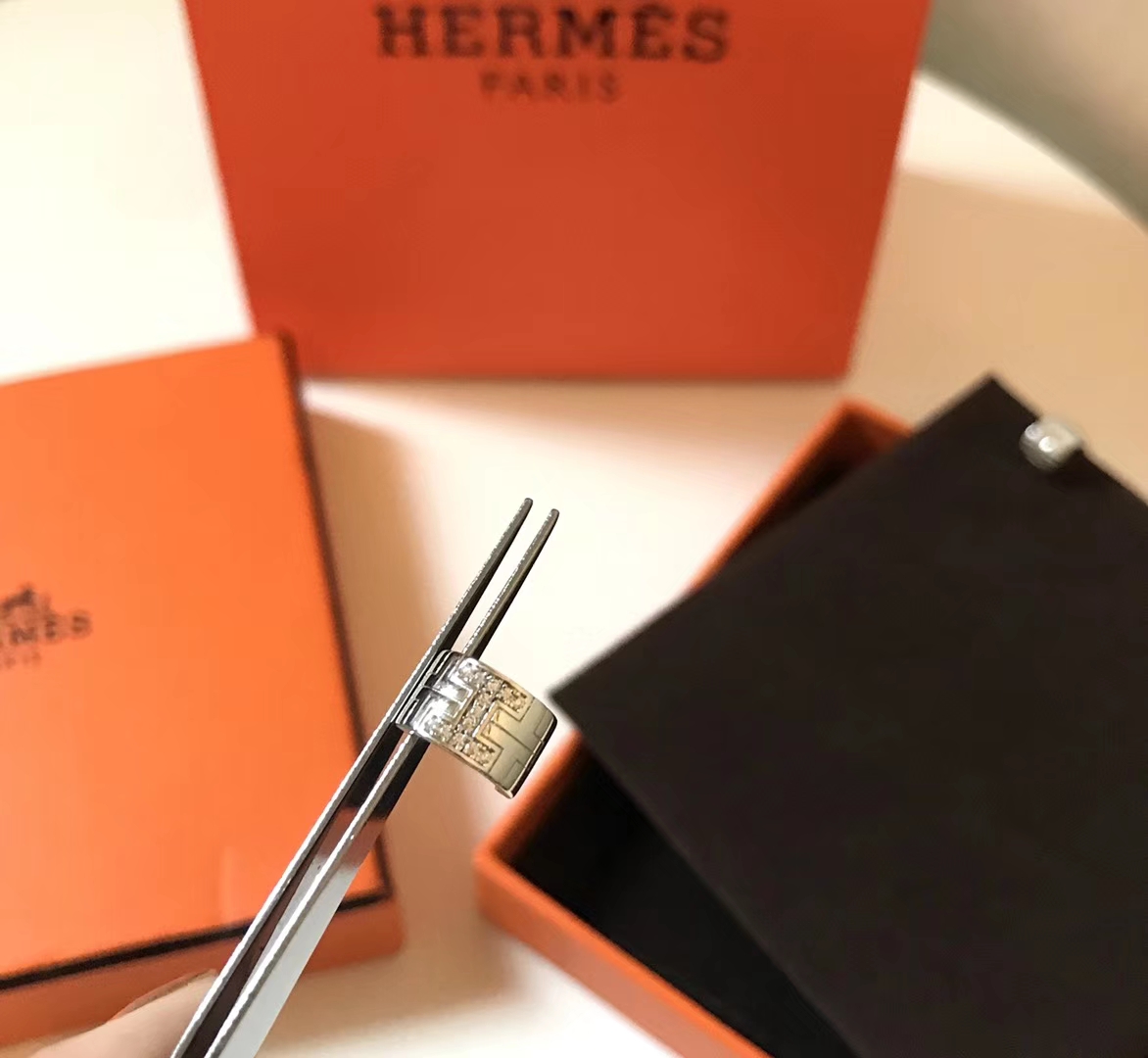Hermes Earrings