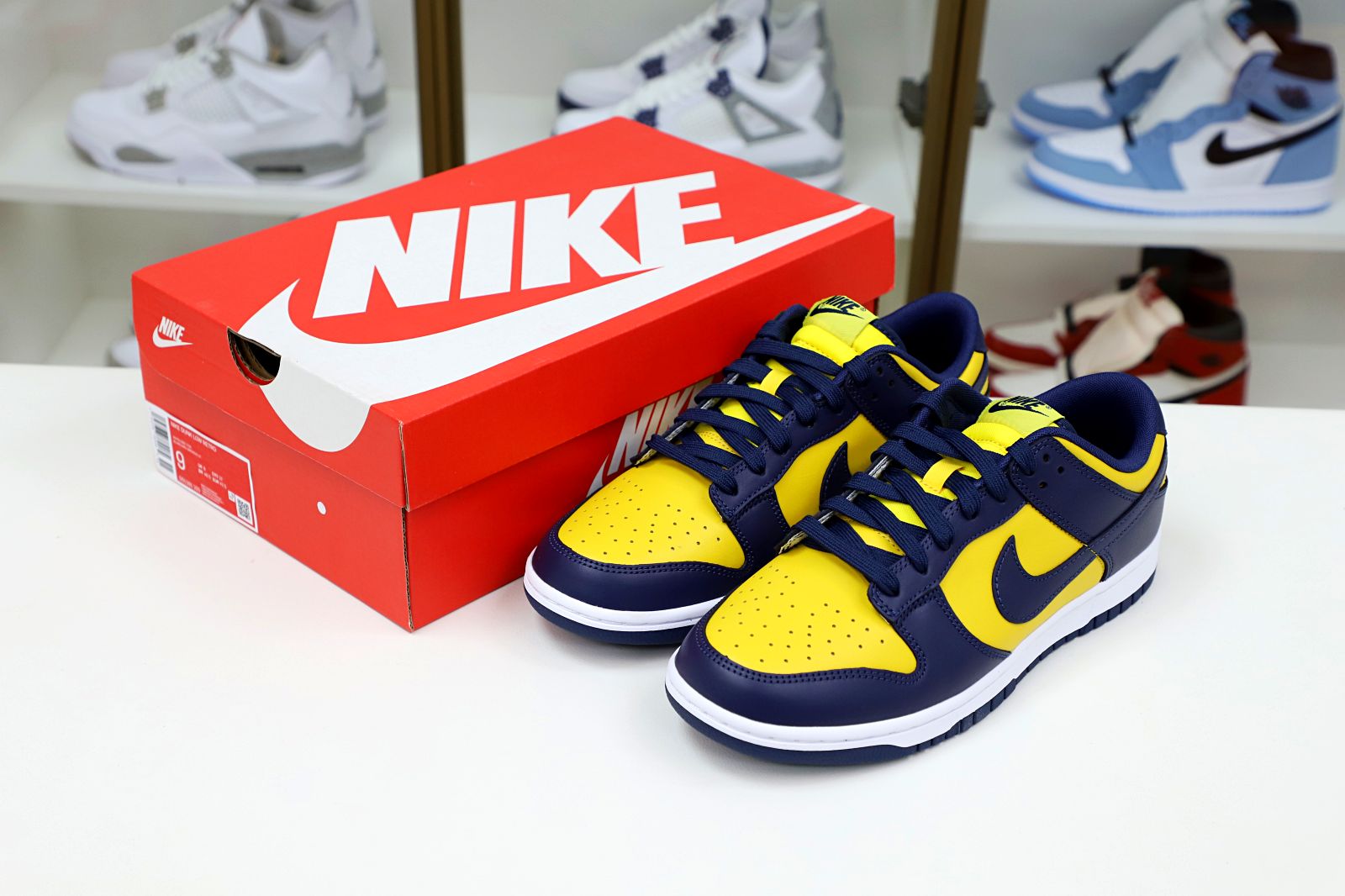 DUNK LOW MICHIGAN 2021