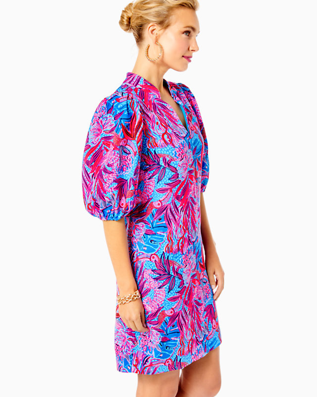 Arcella Dress | Lilly Pulitzer Outlet