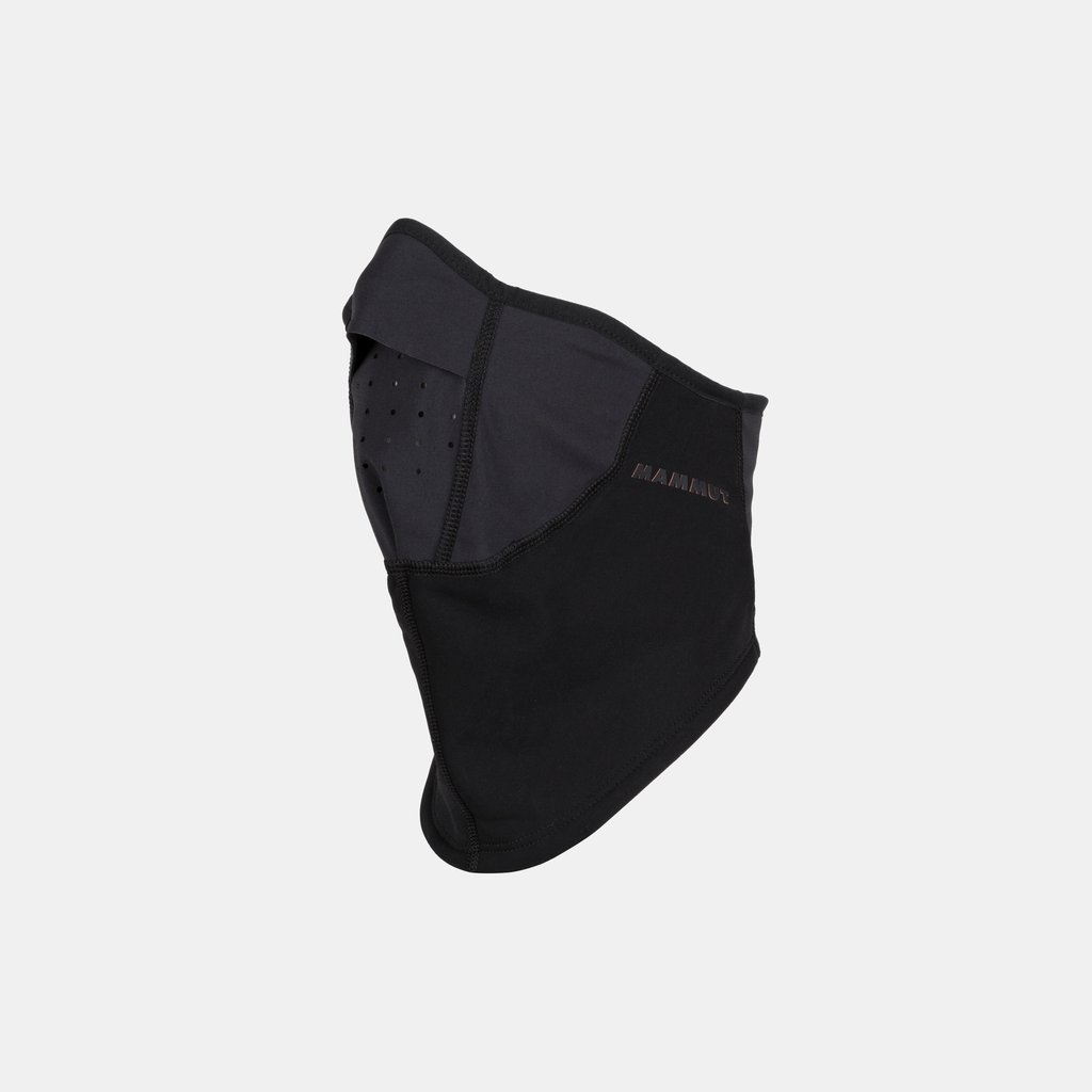 Mask Arctic WS