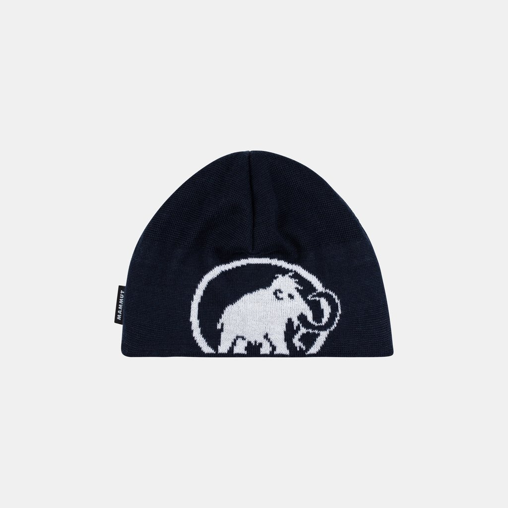 Tweak Beanie