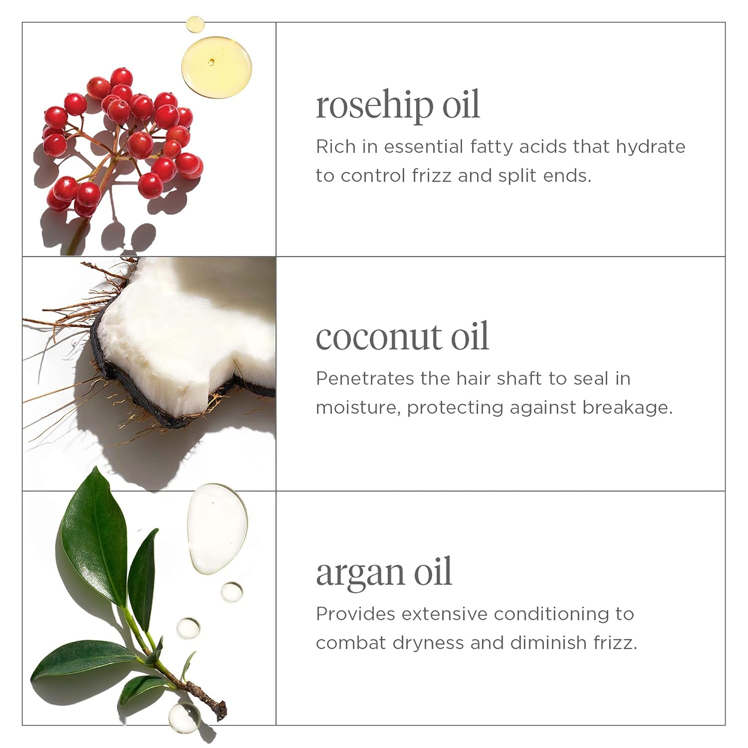 Briogeo Farewell Frizz Conditioner Spray - Anti-Frizz Treatment for Curly, Straight or Wavy Hair with Argan Oil and Detangling Benefits