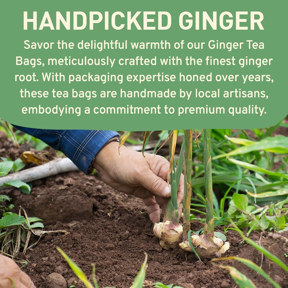 HANDPICK, Peppermint Tea, Eco-Conscious Tea Bags - 100 Count | Caffeine Free, Non-GMO | Minty, Fresh & Cool flavor | Direct From Source