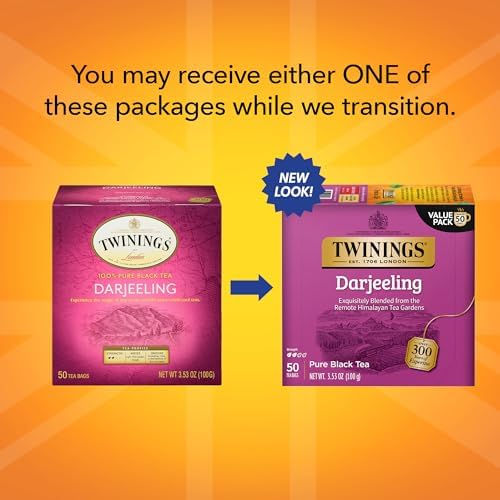 Twinings English Breakfast Black Tea Individually Wrapped Bags, 100 Count (Pack of 1), Smooth, Flavourful, and Robust, Caffeinated, Enjoy Hot or Iced | Packaging May Vary