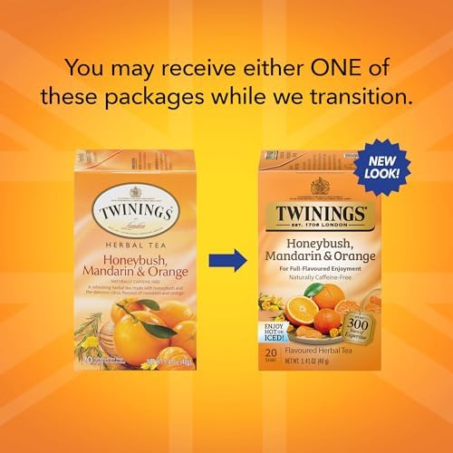 Twinings English Breakfast Black Tea Individually Wrapped Bags, 100 Count (Pack of 1), Smooth, Flavourful, and Robust, Caffeinated, Enjoy Hot or Iced | Packaging May Vary