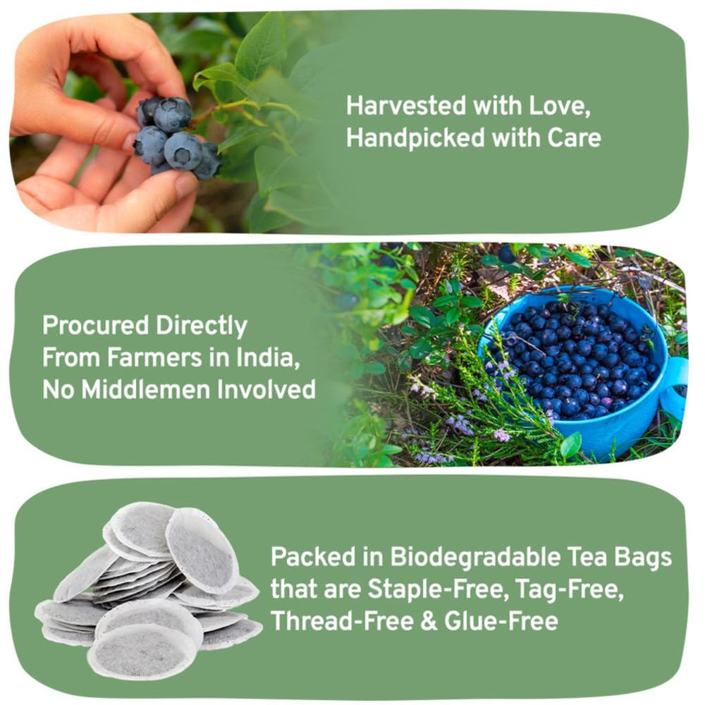 HANDPICK, Peppermint Tea, Eco-Conscious Tea Bags - 100 Count | Caffeine Free, Non-GMO | Minty, Fresh & Cool flavor | Direct From Source