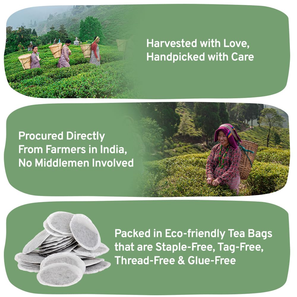 HANDPICK, Peppermint Tea, Eco-Conscious Tea Bags - 100 Count | Caffeine Free, Non-GMO | Minty, Fresh & Cool flavor | Direct From Source