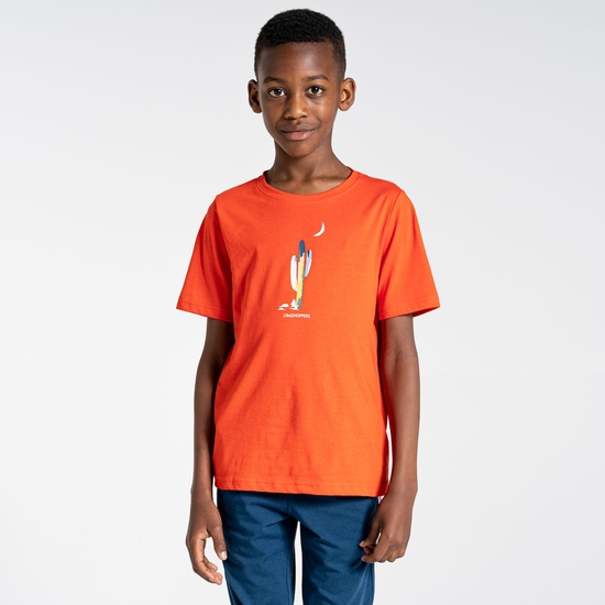 Kid's Tate Short Sleeved T-Shirt | Blood Orange Cactus