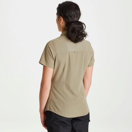 Women's Expert Kiwi Short Sleeved Shirt | Pebble