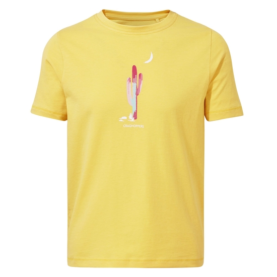 Kid's Tate Short Sleeved T-Shirt | Pineapple Cactus