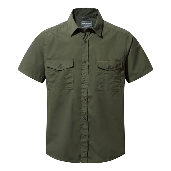 Men's Kiwi Short Sleeved Shirt | Cedar