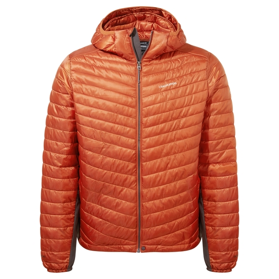 Men's ExpoLite Insulated Hooded Jacket | Potters Clay