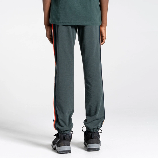 Kid's Nosilife Brodie Trousers | Spruce Green