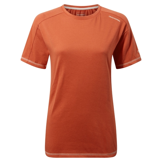 Dynamic Short Sleeved T-Shirt Warm Ginger | Warm Ginger