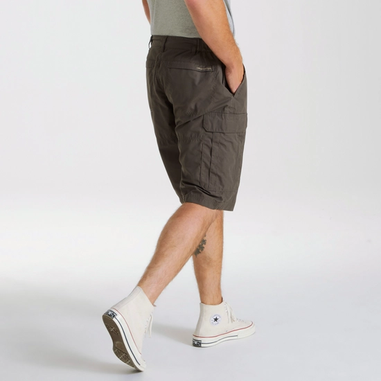 Men's Kiwi Long Shorts | Bark