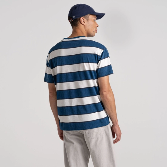 Denali Short Sleeved T-Shirt | Poseidon Blue / Calico Stripe
