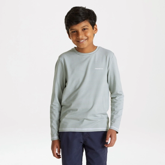 Kid's Nosilife Jago Long Sleeved T-Shirt | Sage Stripe
