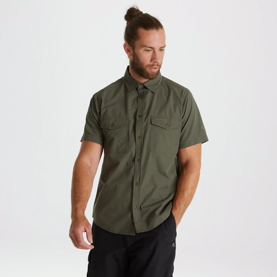 Men's Kiwi Short Sleeved Shirt | Cedar