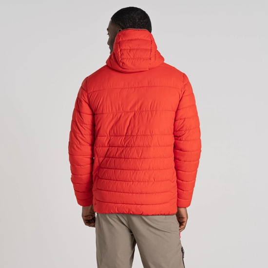 Men's Compresslite VIII Hooded Jacket | Chili Red / Sienna Red