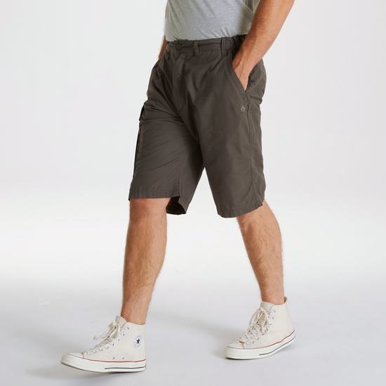 Men's Kiwi Long Shorts | Bark