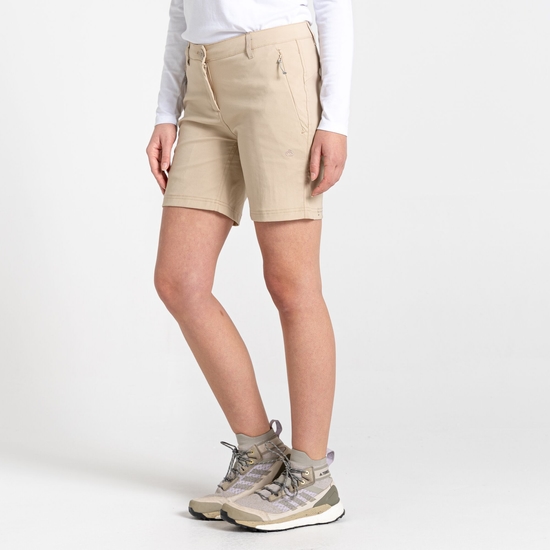 Women's Stretch Kiwi Pro III Shorts | Desert Sand