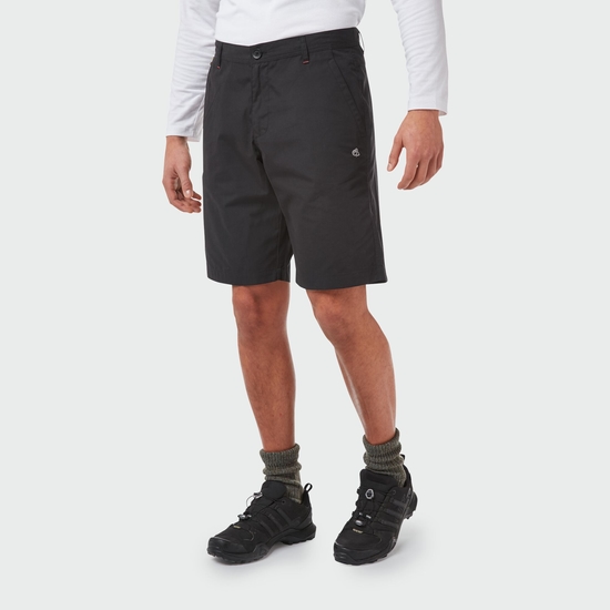 Men's Verve Shorts | Black
