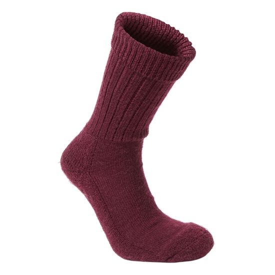 Women's Heat Regulating Travel Sock | Wildberry