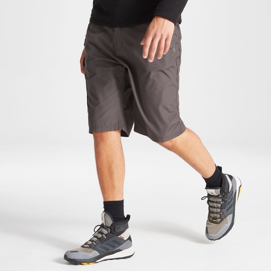 Men's Kiwi Long Shorts | Black Pepper