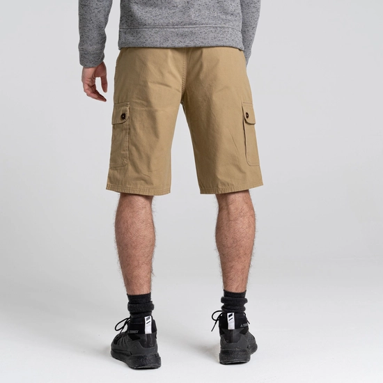 Men's Thallon Shorts | Woodland Green