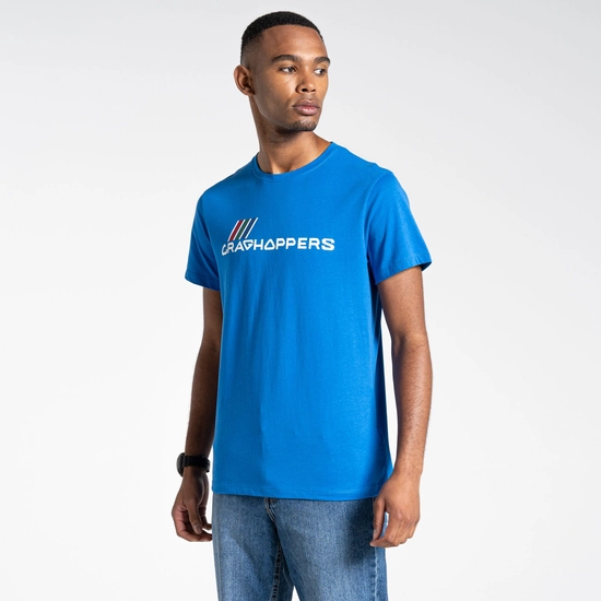 Men's Lugo Short Sleeved T-Shirt | Falls Blue Brand Carrier