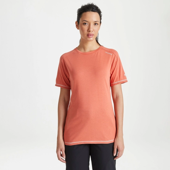 Dynamic Short Sleeved T-Shirt Warm Ginger | Warm Ginger