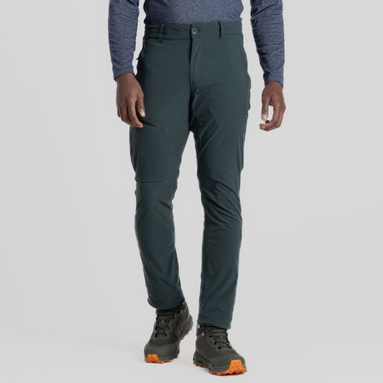 Men's NosiLife Pro Active Trousers | Spruce Green