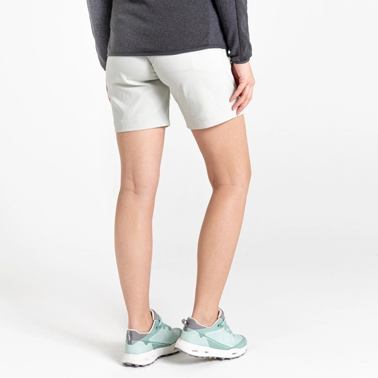 Women's Stretch Kiwi Pro III Shorts | Dove Grey