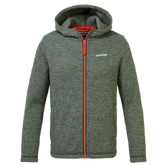 Kids' Shiloh Hooded Fleece Jacket | Spruce Green Marl