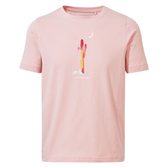 Kid's Tate Short Sleeved T-Shirt | Pink Clay Cactus