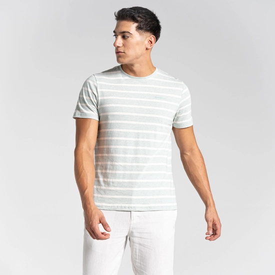 Men's Nosibotanical Sten Short Sleeved T-Shirt | Aloe Green Stripe