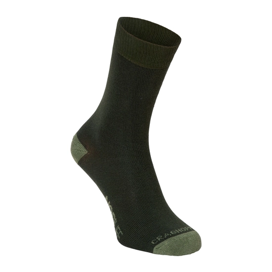 Women's Nosilife Travel Twin Pack Socks | Parka Green / Dry Grass