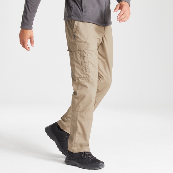 Expert Kiwi Tailored Trousers | Pebble